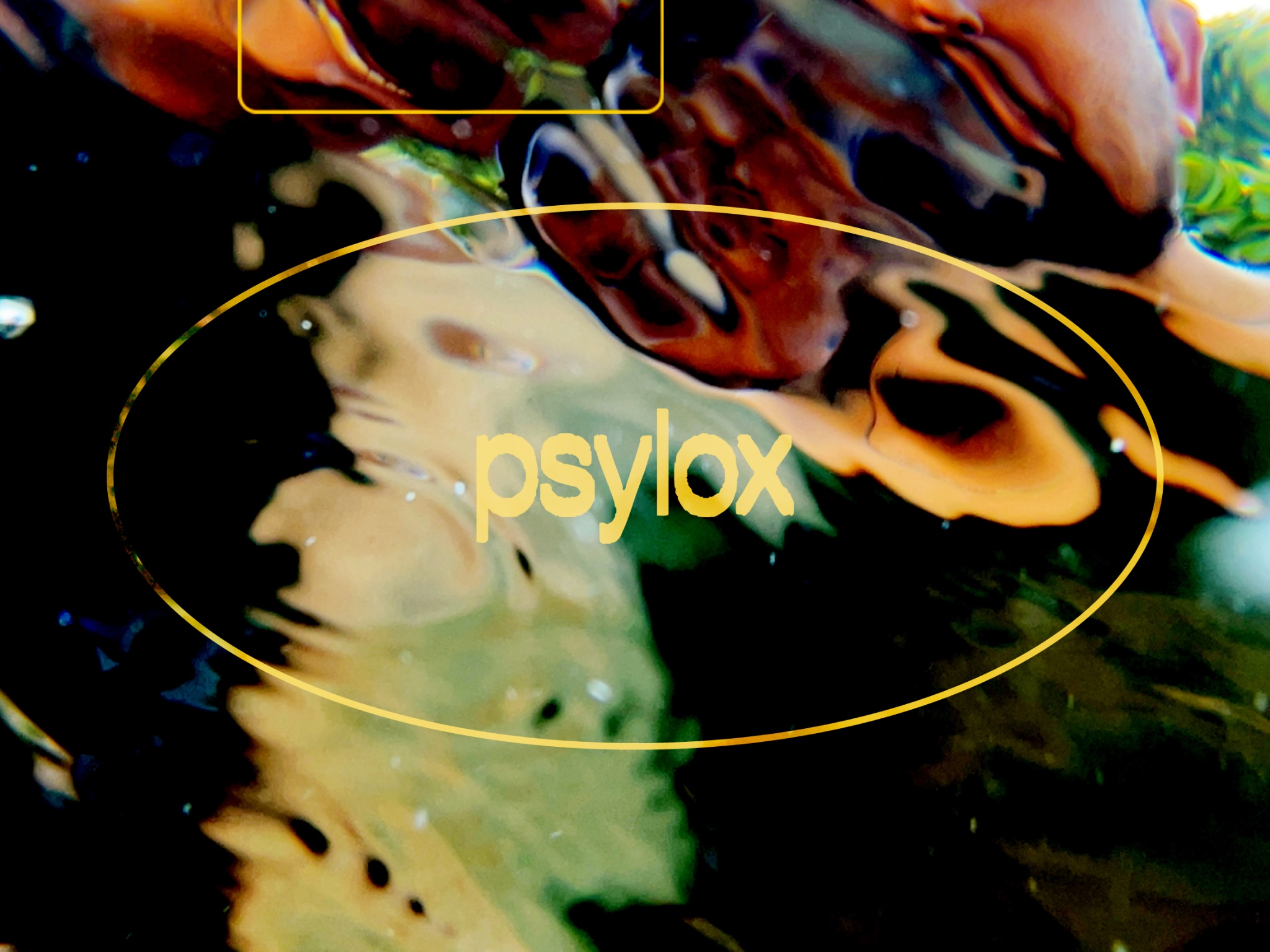 PSYLOX logo
